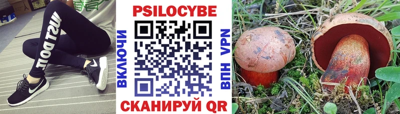 Галлюциногенные грибы MAGIC MUSHROOMS  Сусуман 