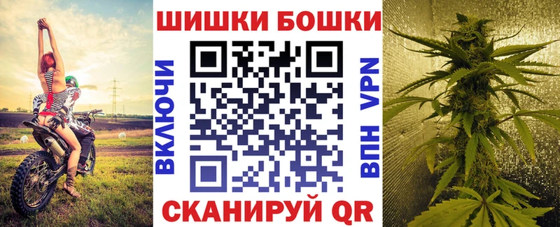 Конопля план Сусуман